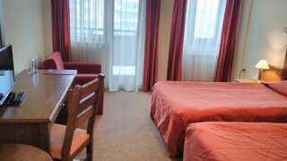 Отель Evelina Palace Hotel Банско Двухместный номер с двуспальной кроватью и дополнительной кроватью-3